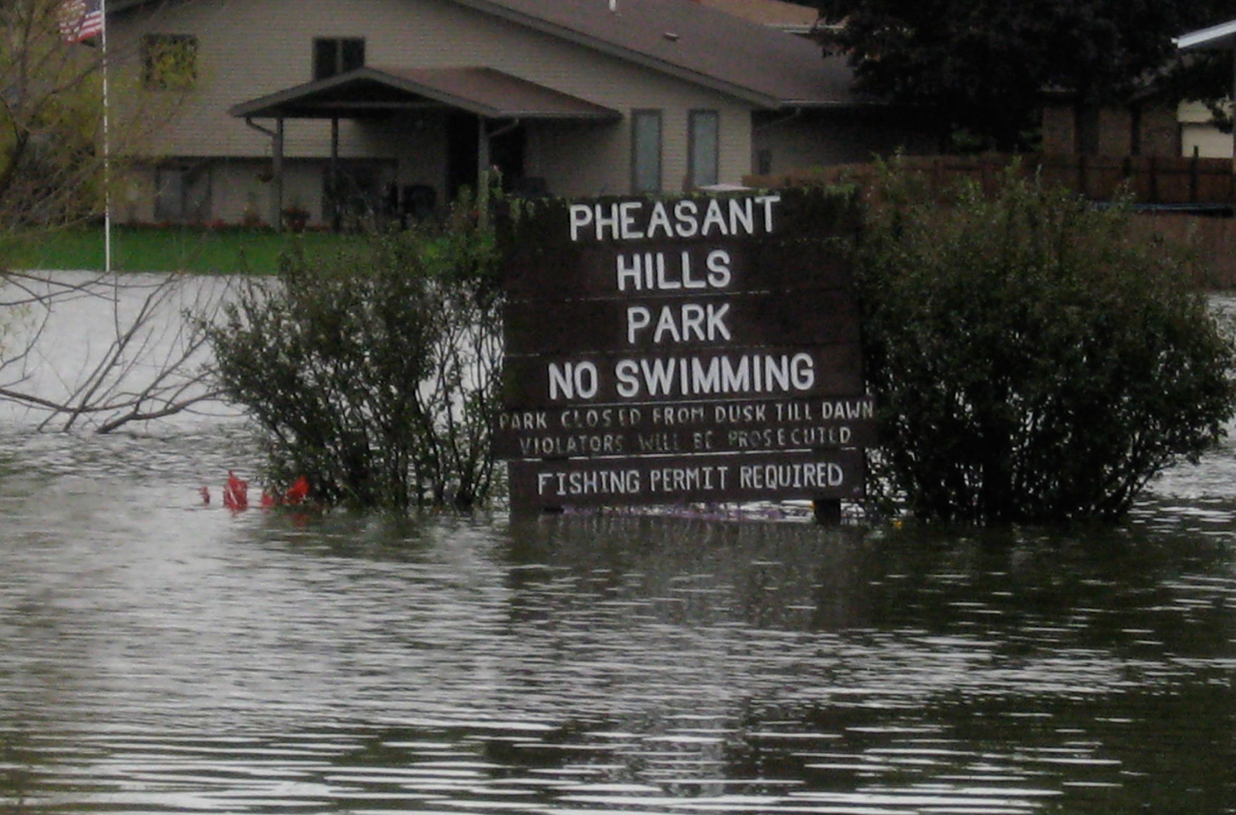 Flood 2008